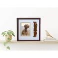 Colar Frame Better World Pets Photo, Collar Memorial Pet Frame, Cat and Dog ...