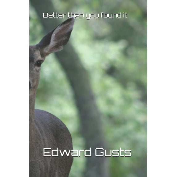 Better than You Found It (Paperback)