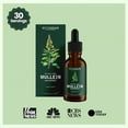 BetterLungs Mullein Leaf & Chlorophyll Extract Drops For Lung Detox Healthcare Supplement