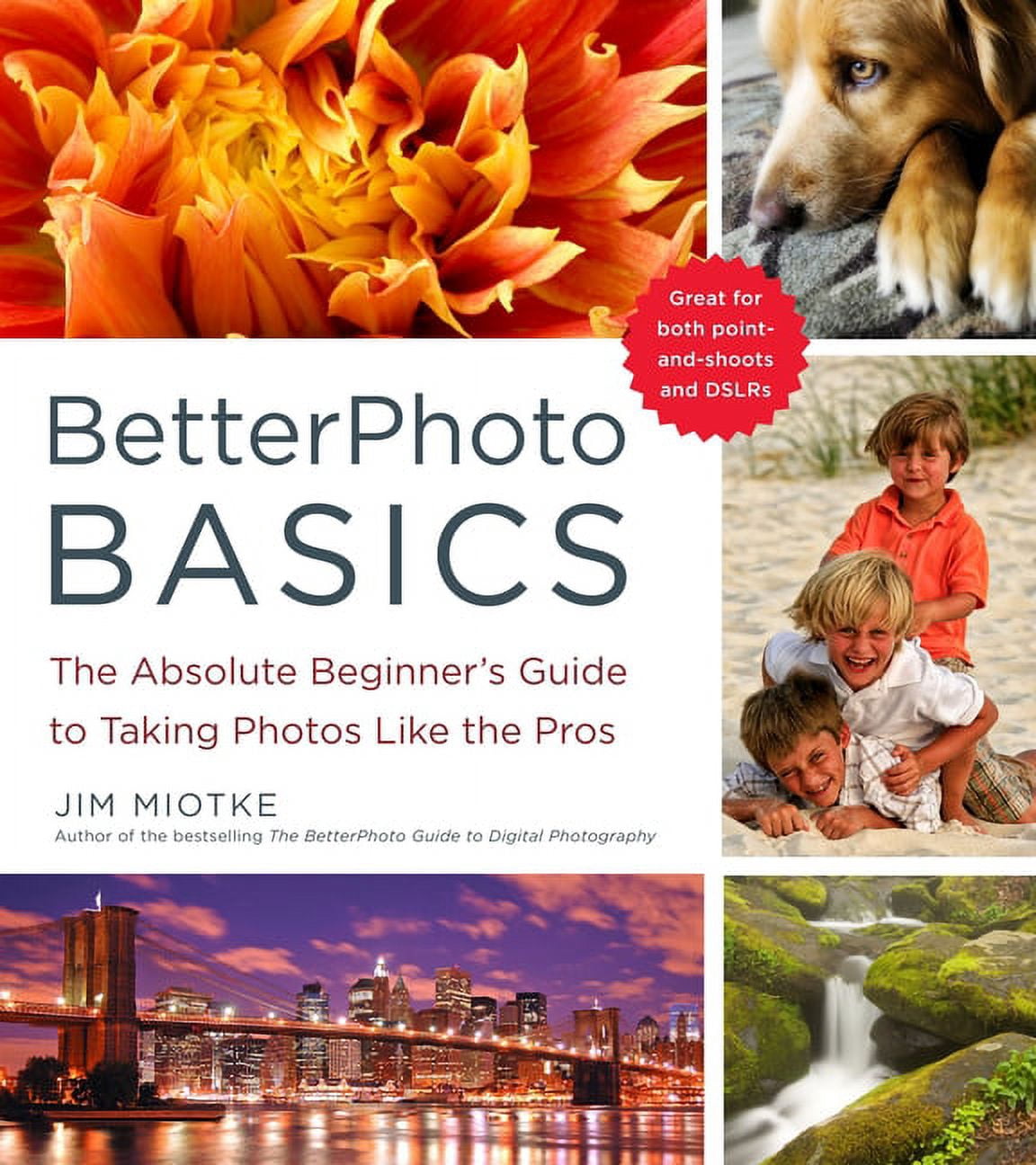 BetterPhoto Basics: The Absolute Beginner's Guide to Taking Photos Like ...