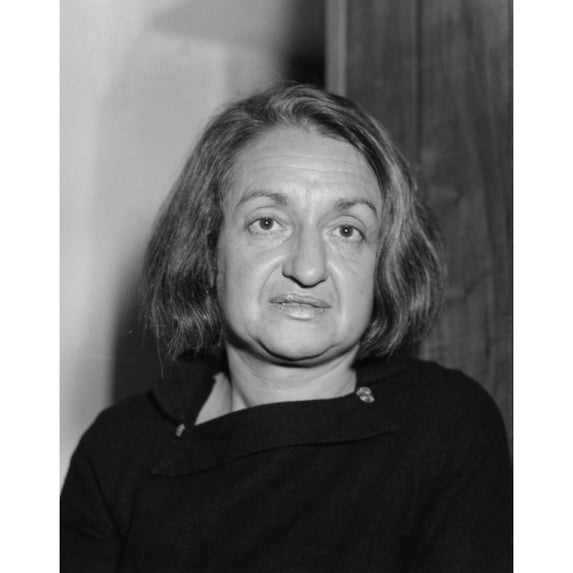Betty Goldstein Friedan History (24 x 36)