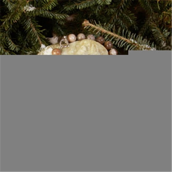 Betty Rocks Betty Rocks 16mm Round Petoskey Fossil Necklace 18 in.