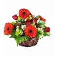 thumbnail image 1 of Betty's Flower Shop Basket of Christmas, 1 of 5
