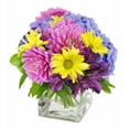 thumbnail image 1 of Betty's Flower Shop Pretty Purple Cheer, 1 of 5