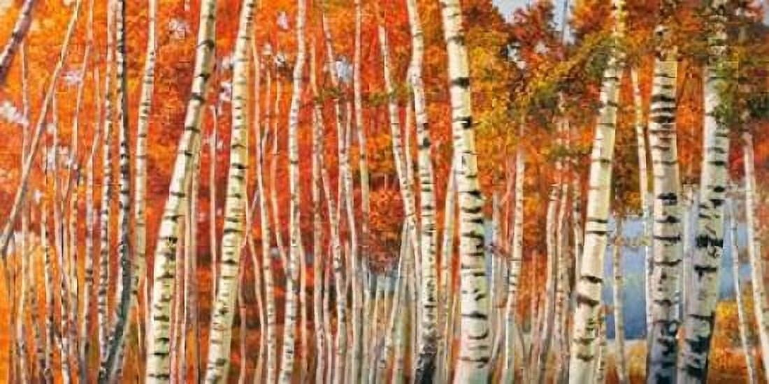 Betulle d autunno Canvas Art - Adriano Galasso (10 x 20)