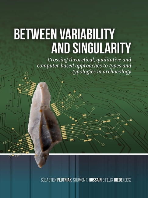 Between Variability and Singularity: Crossing Theoretical, Qualitative and Computer-Based Approaches to Types and Typolo, (Paperback)