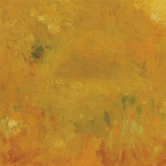 Bevel - Where Leaves Block the Sun - Music & Performance - CD