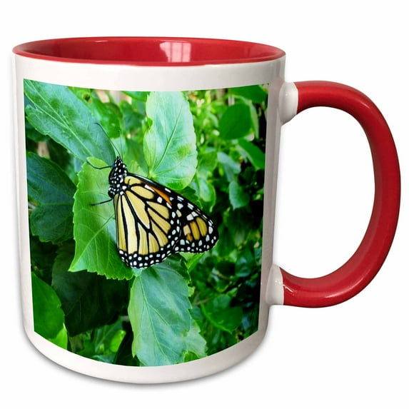 3drose, Beverly Butterfly, 11oz Two-tone Red Mug