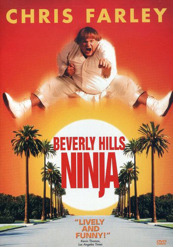 Beverly Hills Ninja (DVD), Sony Pictures, Comedy - image 1 of 2