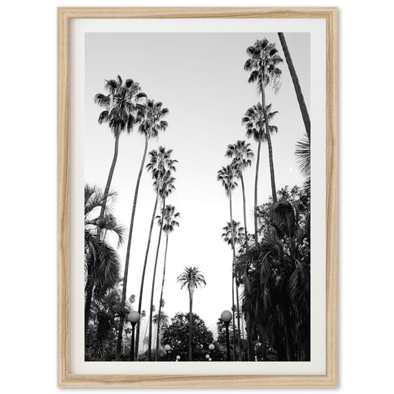 Tree Deocrations Beverly Hills Palm Tree Black And White Wall Art, Living Room And ...