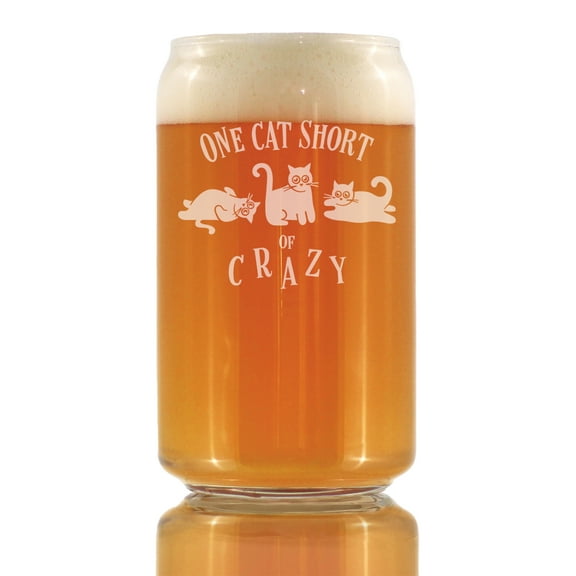Bevvee Beer Can Pint Glass 16 oz Crazy Cat Cat Lover Gifts Beer Glasses