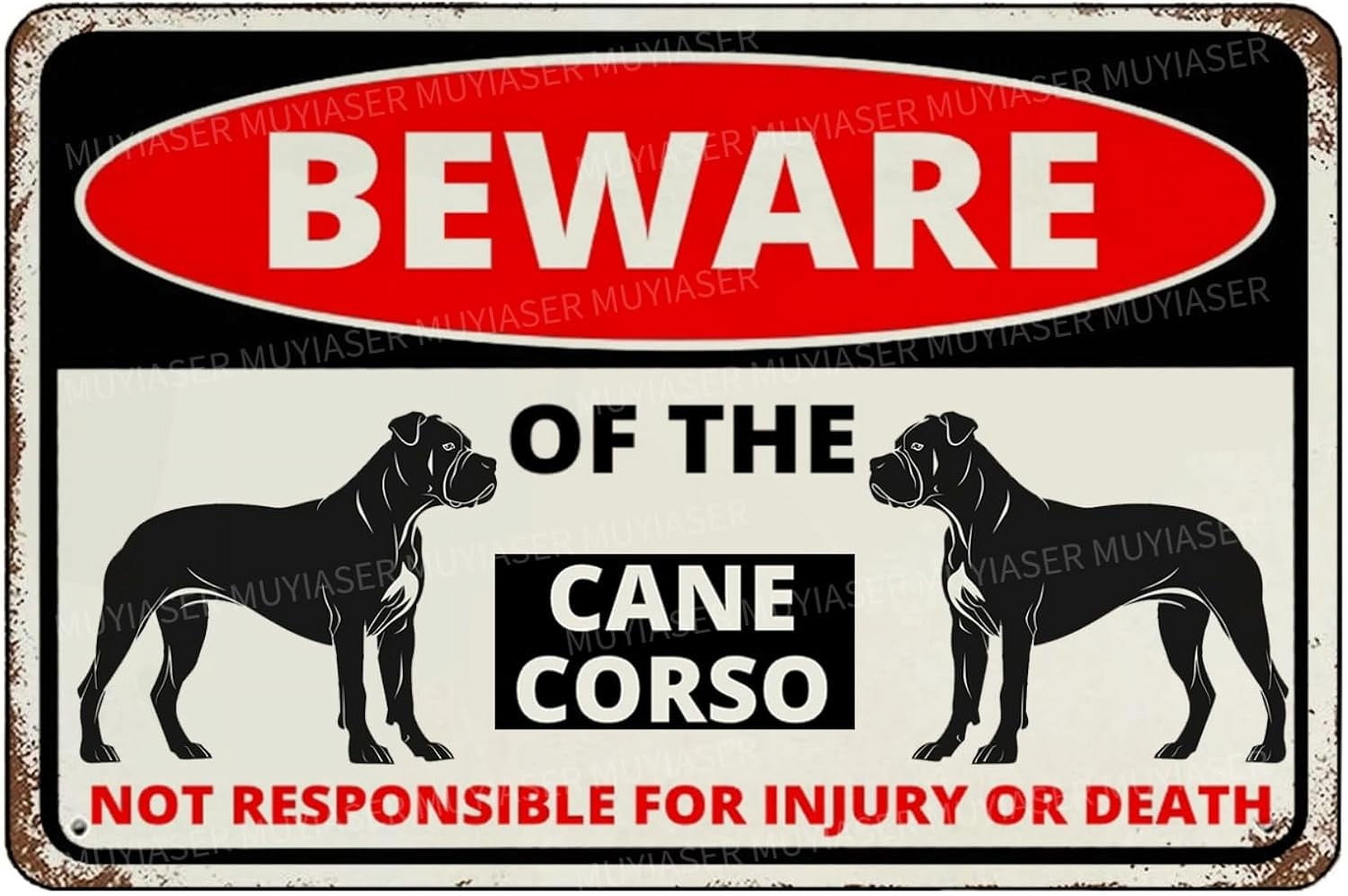 Targa in latta retrò con scritta Beware Of Miniature Pinscher (lingua italiana non garantita