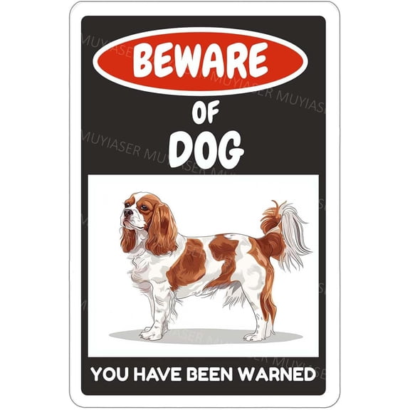 Beware Of Dog Sign Cavalier King Charles Spaniel You Have Been Warned Aluminum Metal Tin Signs Door Sign Warning Sign For Fence Gate Yard Home Wall Decor 8x12 Inch