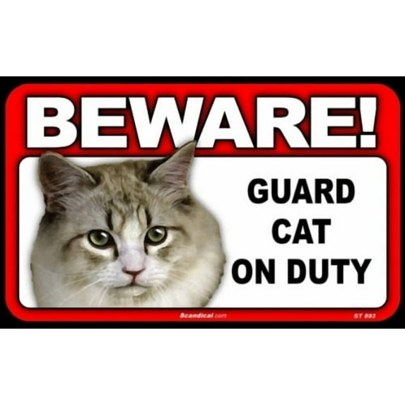 BEWARE Guard Cat on Duty Sign - Coon Cat