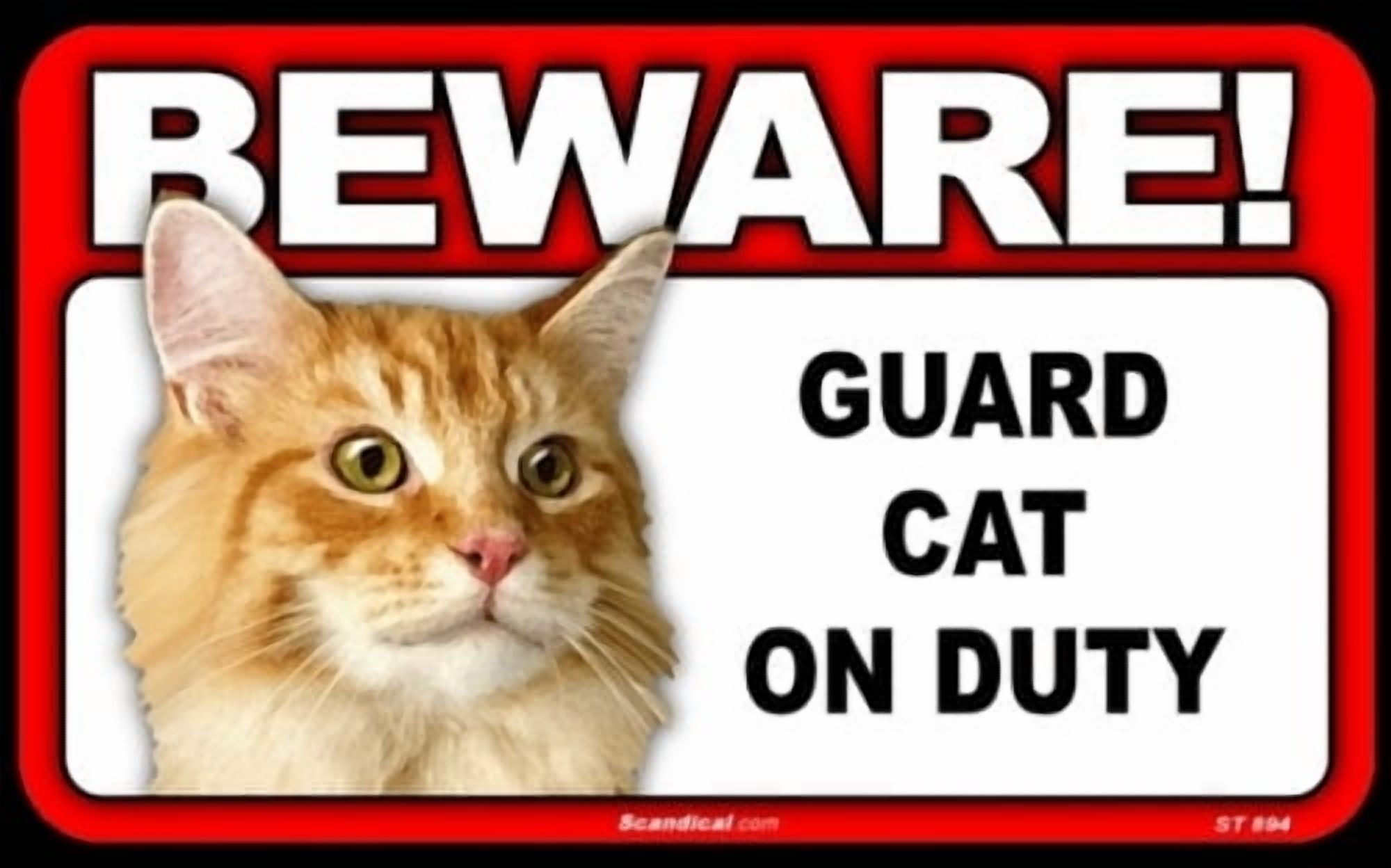 Targa Decorativa In Legno "Beware Maine Coon Cat On Duty" – Cartello Rustico Per Casa, Giardino E Cucina, 30x15 Cm
