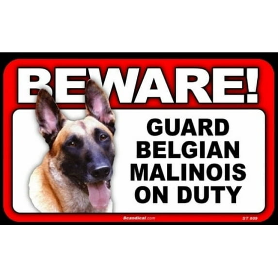 Beware Guard Dog On Duty Sign - Belgian Malinois