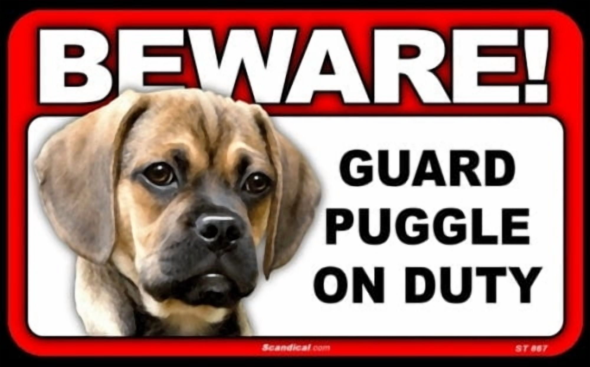 Puggle Sign Beware Guard Dog On Duty Sign - Puggle - Walmart.com