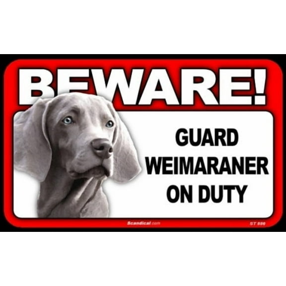 Beware! Guard Weimaraner On Duty Sign (5 X 8) Dog Signs