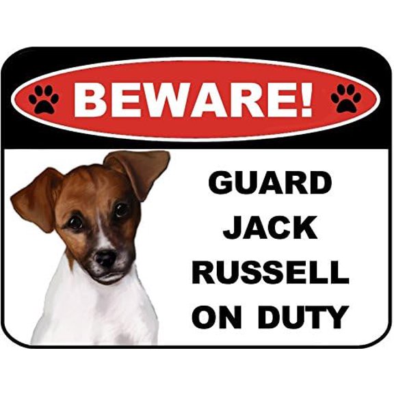 Beware Guard Jack Russell on Duty 8 inch x 12 inch MetalDog Sign