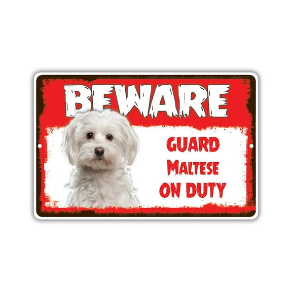 Beware Guard Maltese Dog On Duty Novelty Aluminum Metal 8"x12" Sign