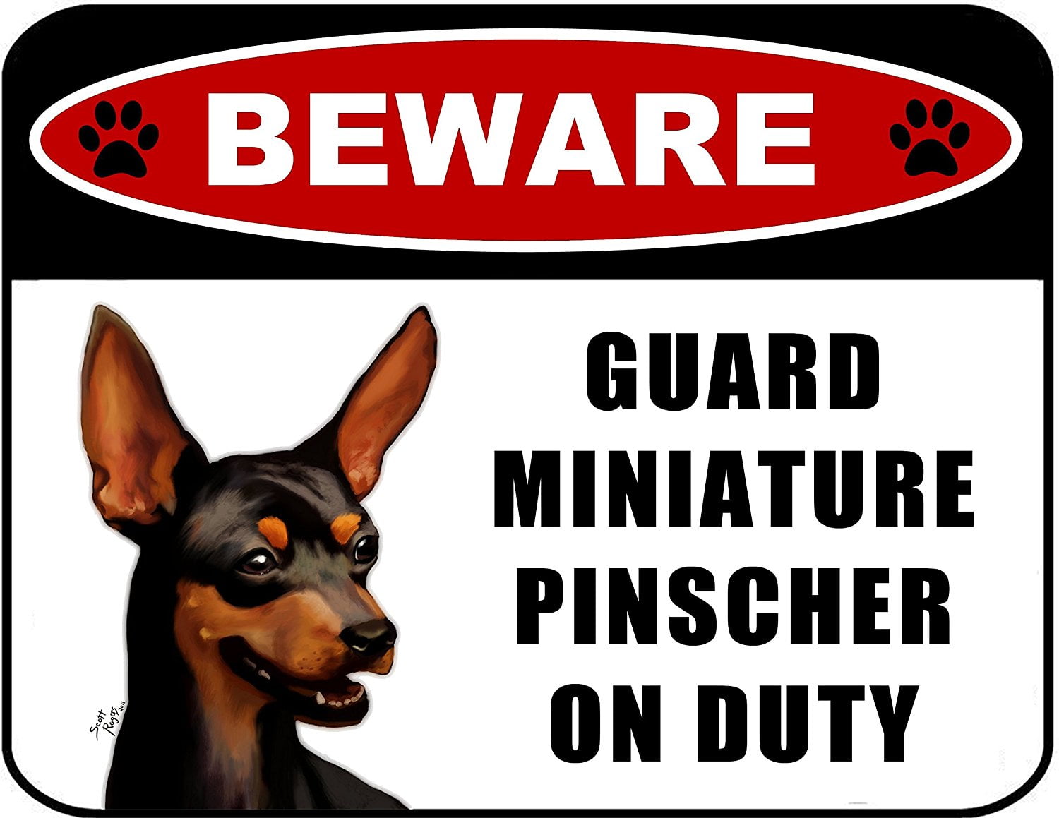 Pinscher x store