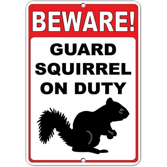 Beware! Guard Squirrel On Duty Funny Quote 12 X 8 Inches Metal Tin Sign
