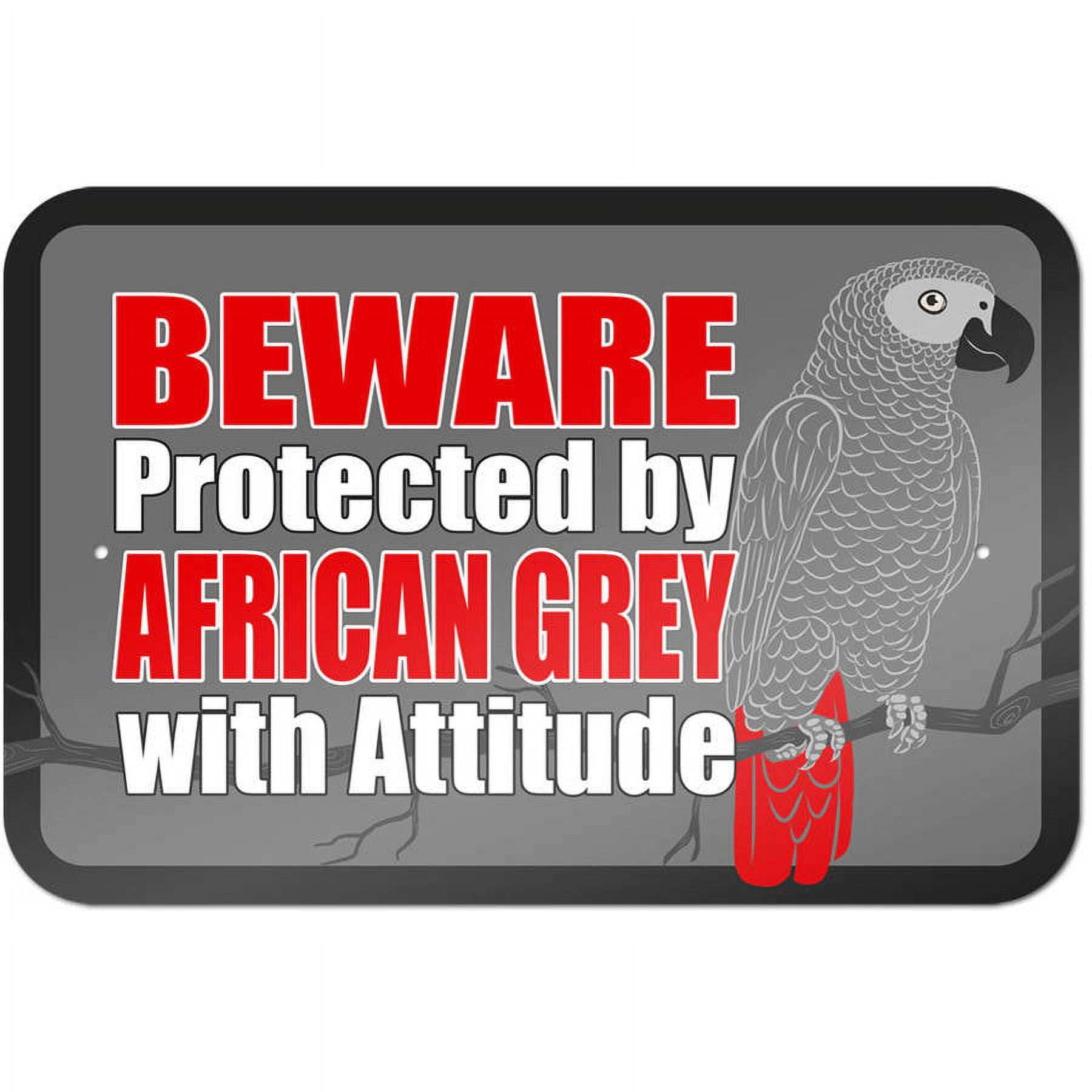 Beware Protected by African Grey with Attitude Sign - Walmart.com