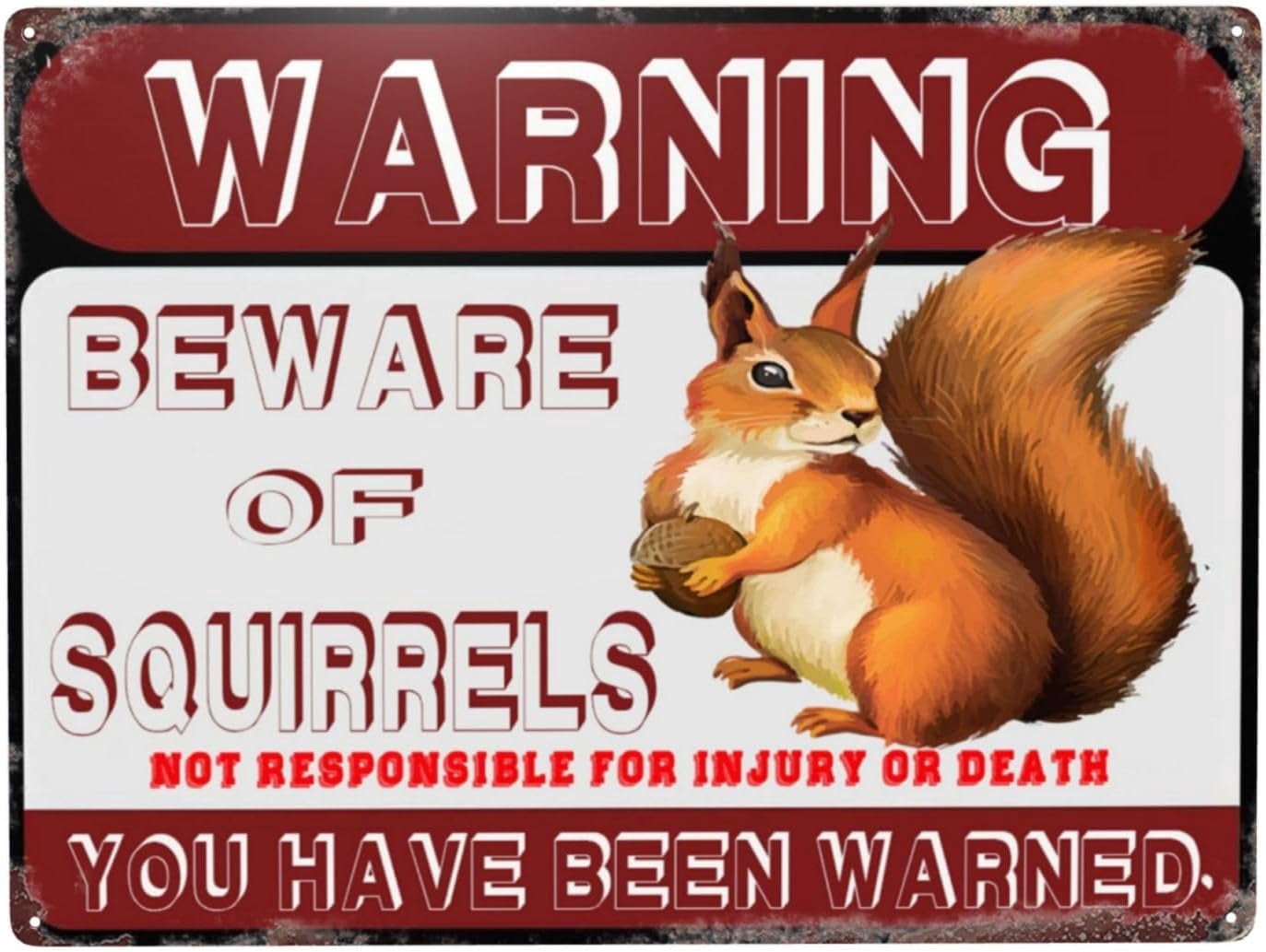 Beware Squirrels Metal Sign Warning Sign Safety Signs For Home Outdoor ...