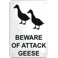 thumbnail image 1 of Beware of Attack Geese Funny Metal Tin Sign 12 x 8 Inches - Personalized Decor, Indoor Outdoor Doors, Wall, Park, Rural Area Wildlife Alert, 1 of 6