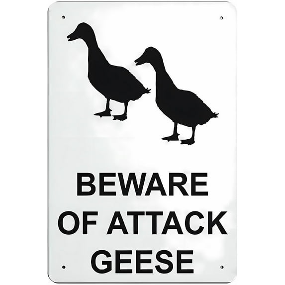 Beware of Attack Geese Funny Metal Tin Sign 12 x 8 Inches - Personalized Decor, Indoor Outdoor Doors, Wall, Park, Rural Area Wildlife Alert