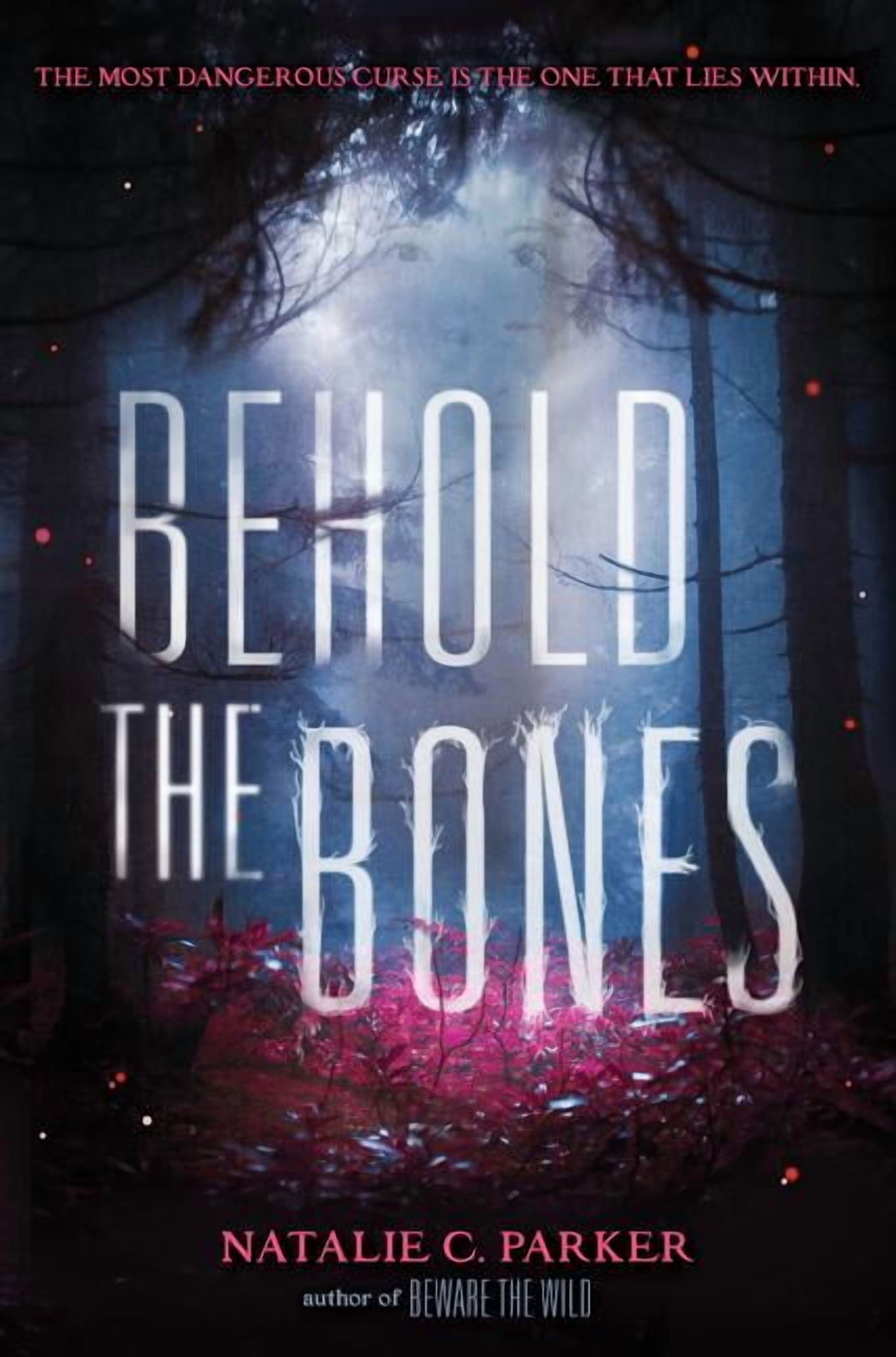 Beware the Wild Behold the Bones, Book 2, (Hardcover) - Walmart.com
