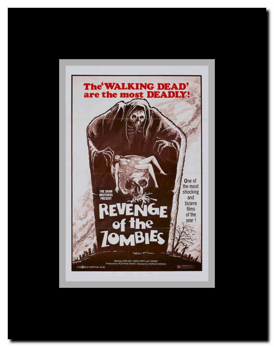 Bewitch Tame Head Framed Movie Poster