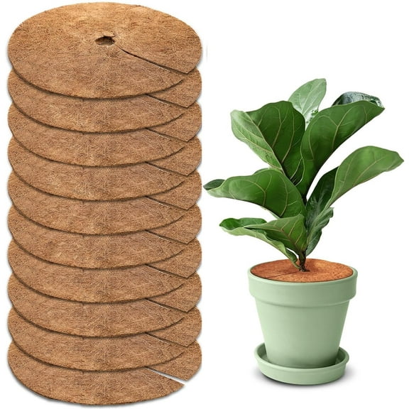 Bexikou 10 Pcs Tree Protector Mat,Coconut Fibers Mulch Ring,Plant Protector Cover,Soil Cover for Indoor Outdoor Plants,Coco Coir Mulch Tree Protection Weed Mats for Cypress, Landscaping