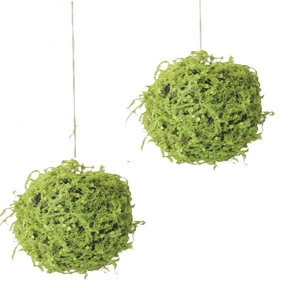 Bexikou 2 Pcs 5 Inch Hanging Faux Dried Moss Spheres, Decorative Greenery Balls,Artificial Plant Topiary Ball for Wedding Home Centerpiece Decor
