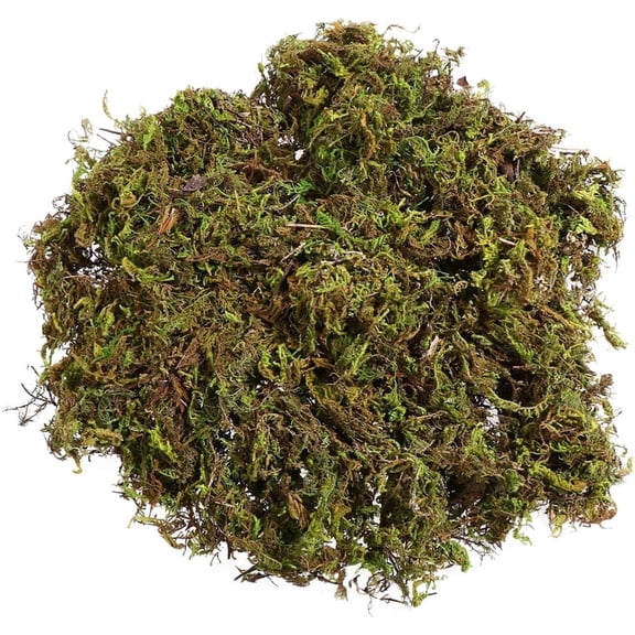 Bexikou 300g Fake Moss for Potted Plants,Green Plants Faux Moss,Artificial Moss for Fake Plants,Faux Moss for Planters Decorative Moss for Craft