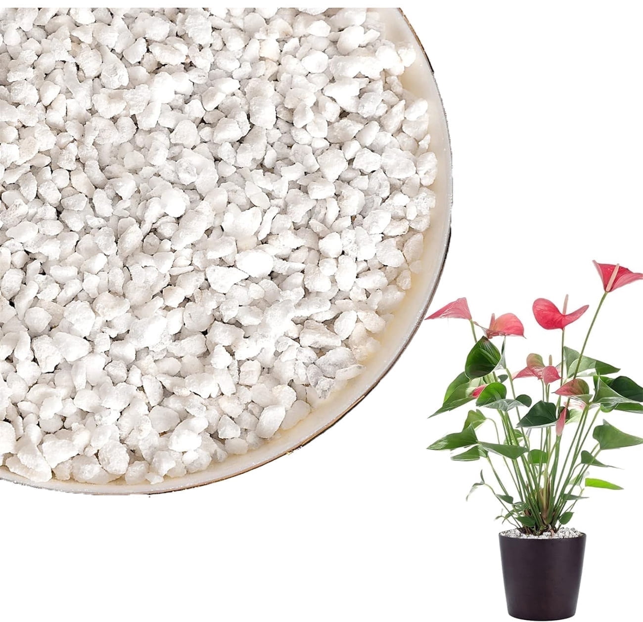 Bexikou Organic Perlite Potting Mix Soil, 3 qt 3-6 mm Horticultural ...