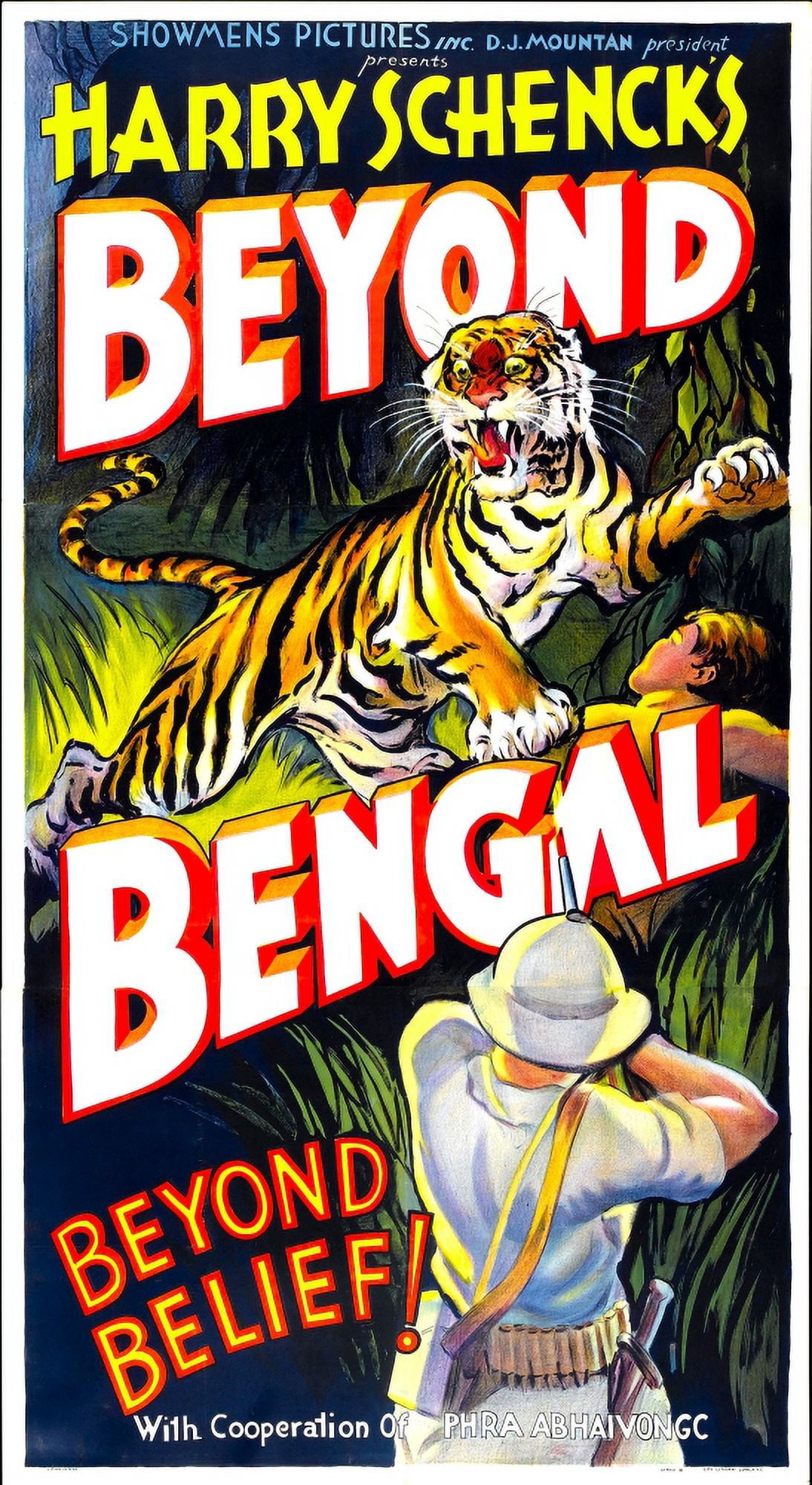 Beyond Bengal Canvas Art - (11 x 17)