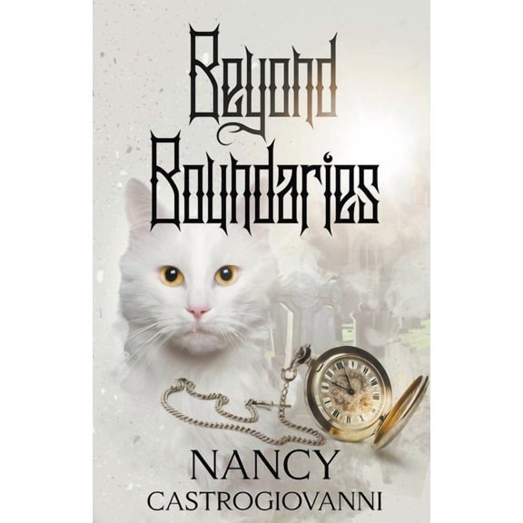 Beyond Boundaries, (Paperback)