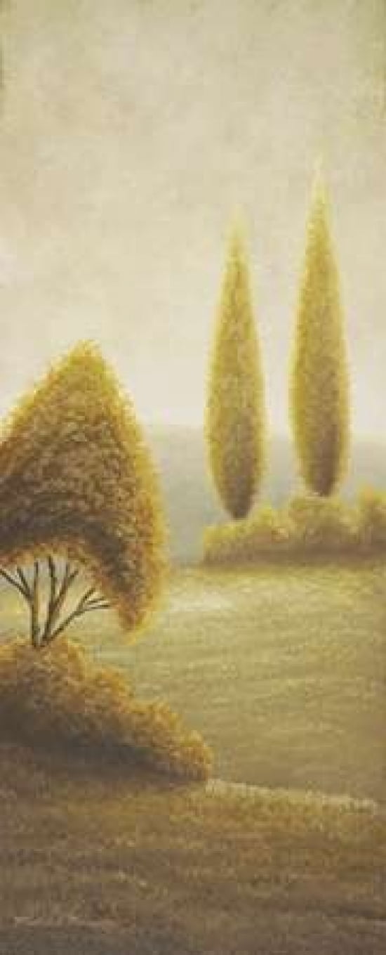 Beyond Elgin I-evergreen trees Canvas Art - Michael Marcon (24 x 48)