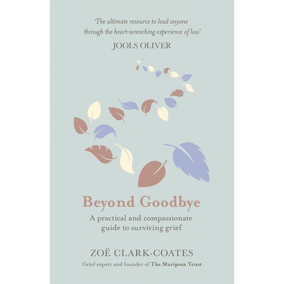 Beyond Goodbye : A practical and compassionate guide to surviving grief, with day-by-day resources to navigate a path through loss (Paperback)