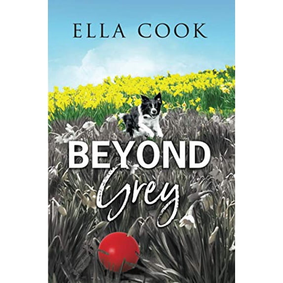 Pre-Owned Beyond Grey Paperback