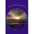 thumbnail image 1 of Beyond Human Comprehension (Paperback), 1 of 1