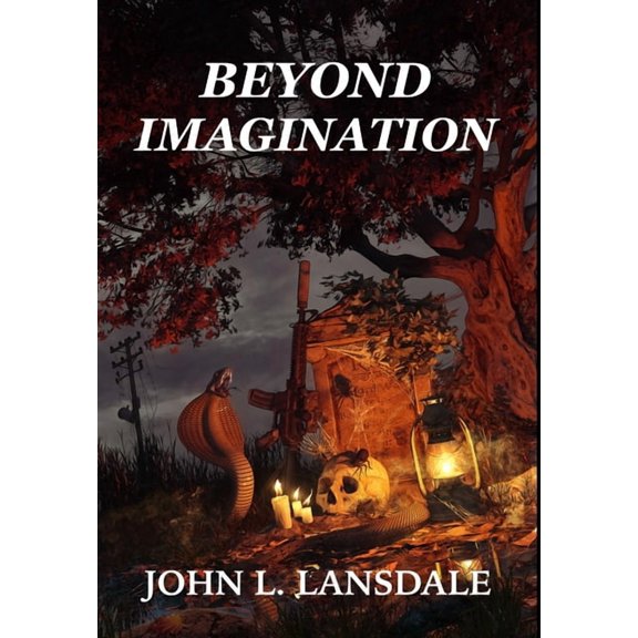 Beyond Imagination, (Hardcover)