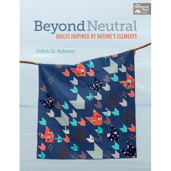 Beyond Neutral: Quilts Inspired by Nature's Elements (Paperback)