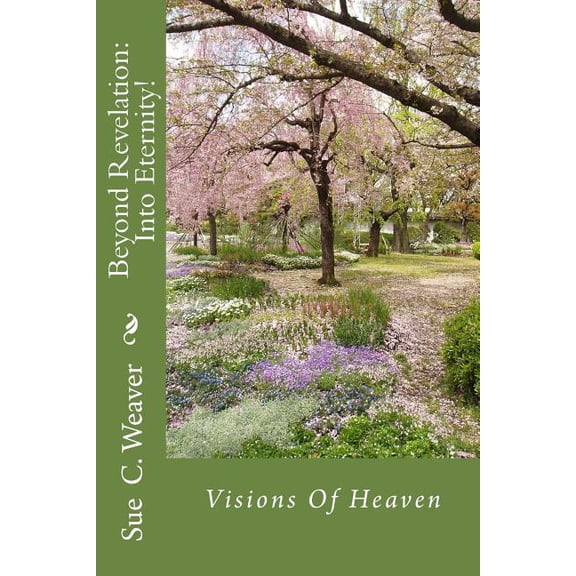 Beyond Revelation: Into Eternity!: Visions Of Heaven (Paperback)