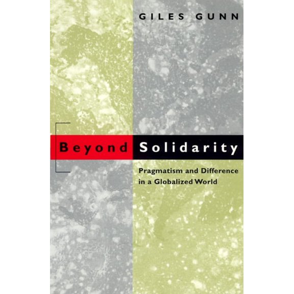 Beyond Solidarity : Pragmatism and Difference in a Globalized World (Paperback)