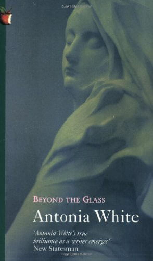 Pre-Owned Beyond The Glass (VMC) Paperback 