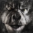 thumbnail image 1 of Beyond Ugly, 1 of 1