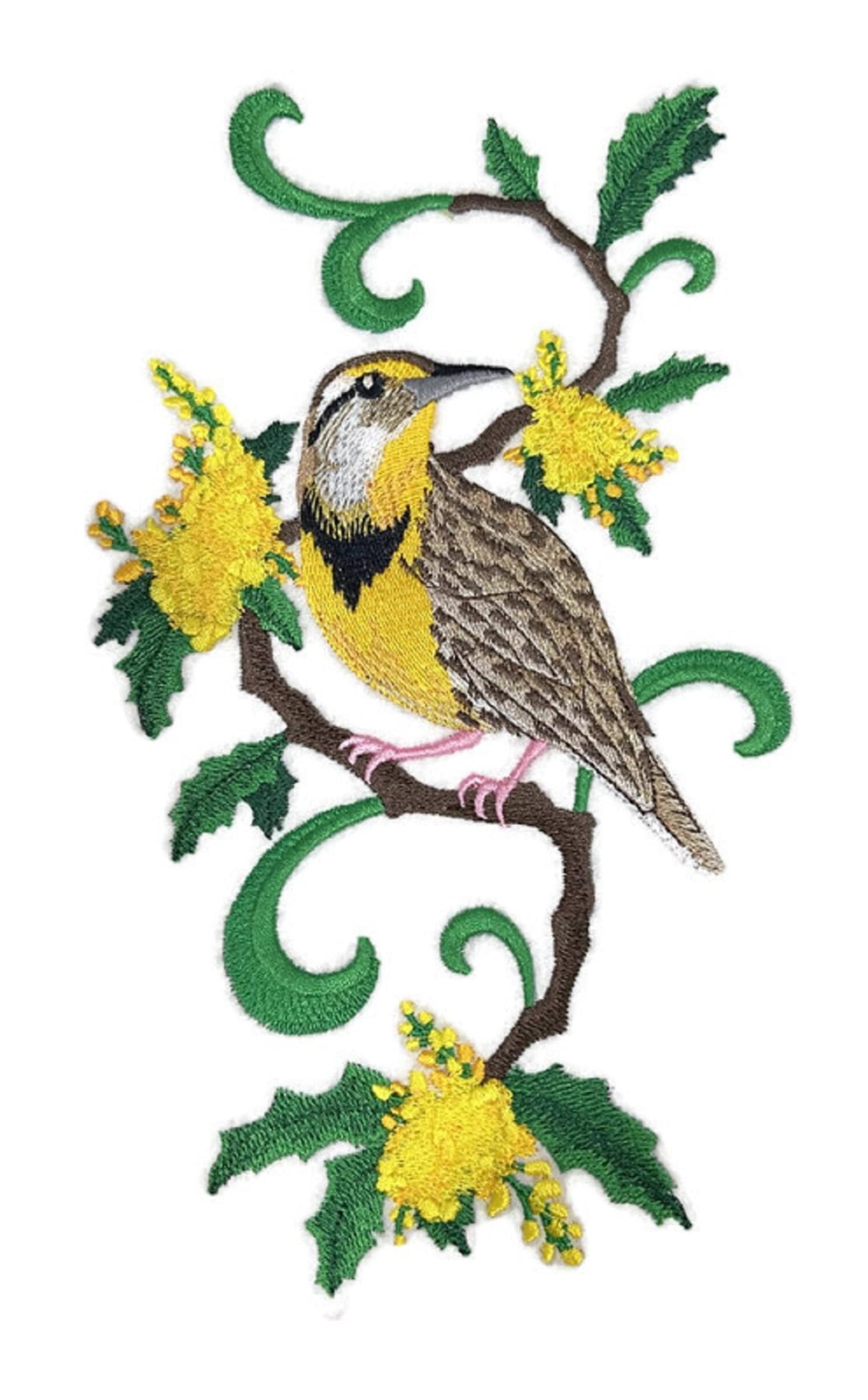 Beyond Vision Custom Bird Oregon Western Meadowlark and Oregon Embroidery Iron On/Sew patch (5.47" x 9.4")