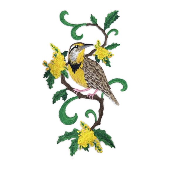 Beyond Vision Custom Bird Oregon Western Meadowlark and Oregon Embroidery Iron On/Sew patch (5.47" x 9.4")